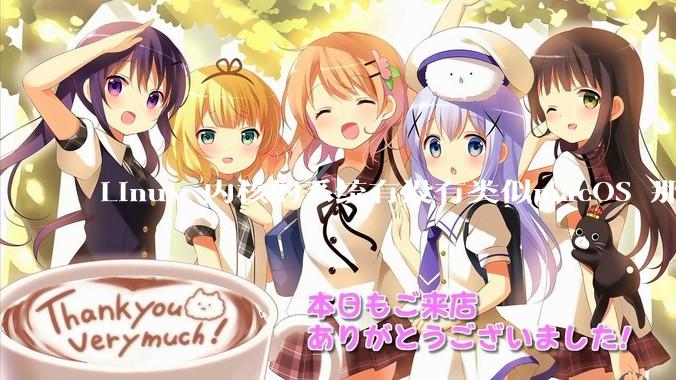 Linux 内核的系统有没有类似macOS 那样漂亮流畅的桌面环境的发行版本?